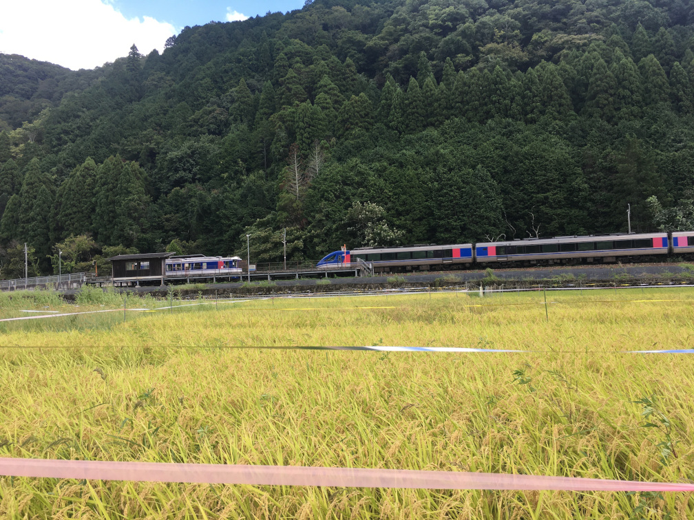 平福駅を通過するスーパーはくと