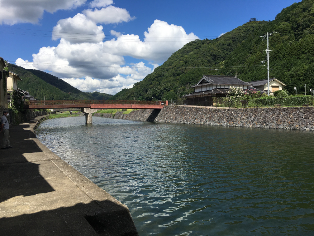 佐用川の川辺