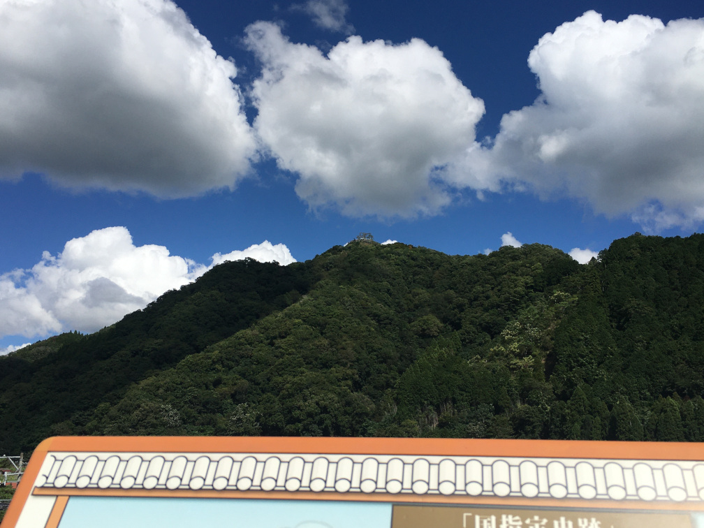 向かいの山の頂上にある「利神城跡」