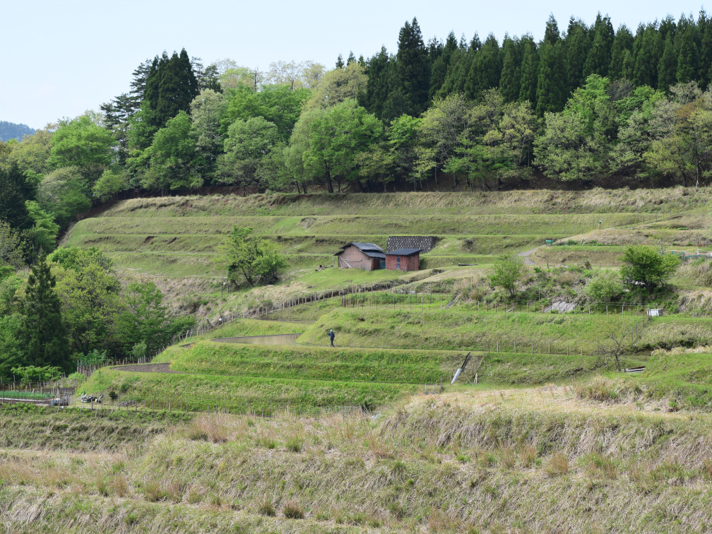 西ヶ岡の棚田の景色12