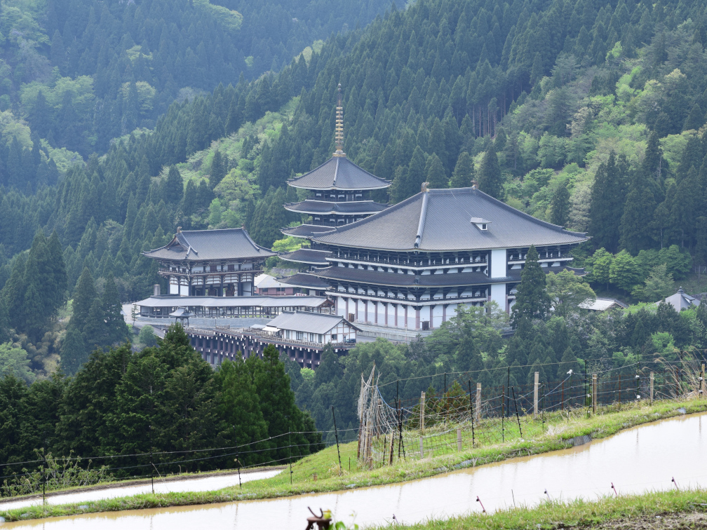 西ヶ岡の棚田の景色8