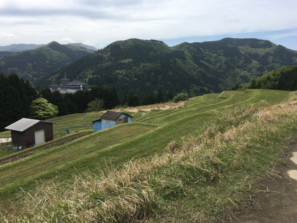 西ヶ岡の棚田の景色7