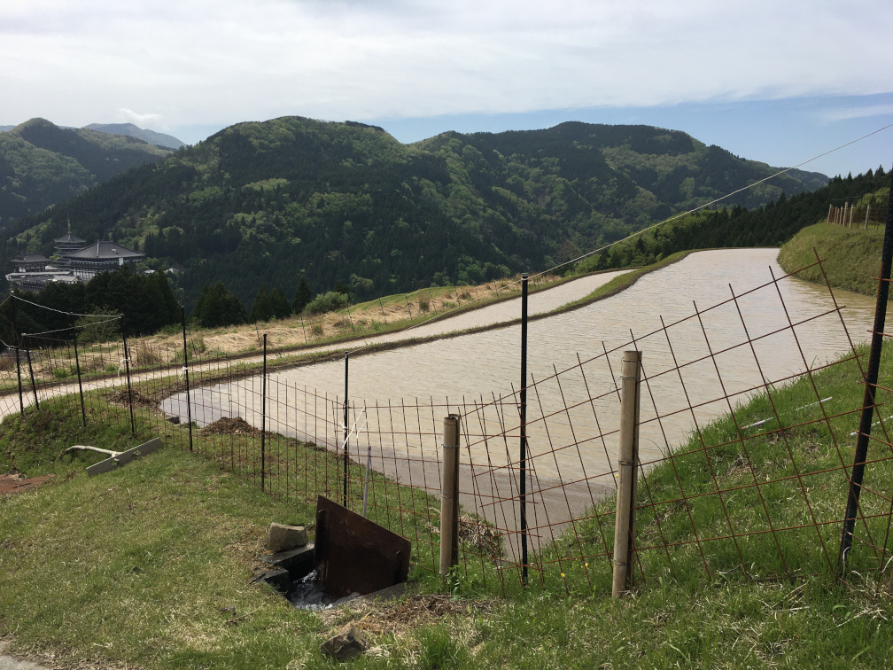 西ヶ岡の棚田の景色9