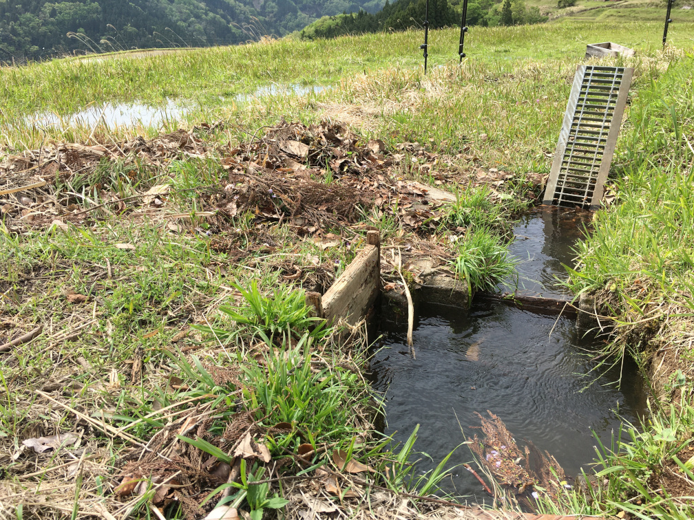 西ヶ岡の棚田の景色10