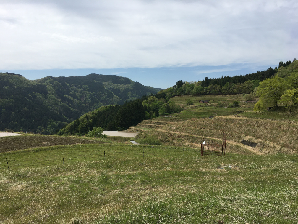 西ヶ岡の棚田の景色13