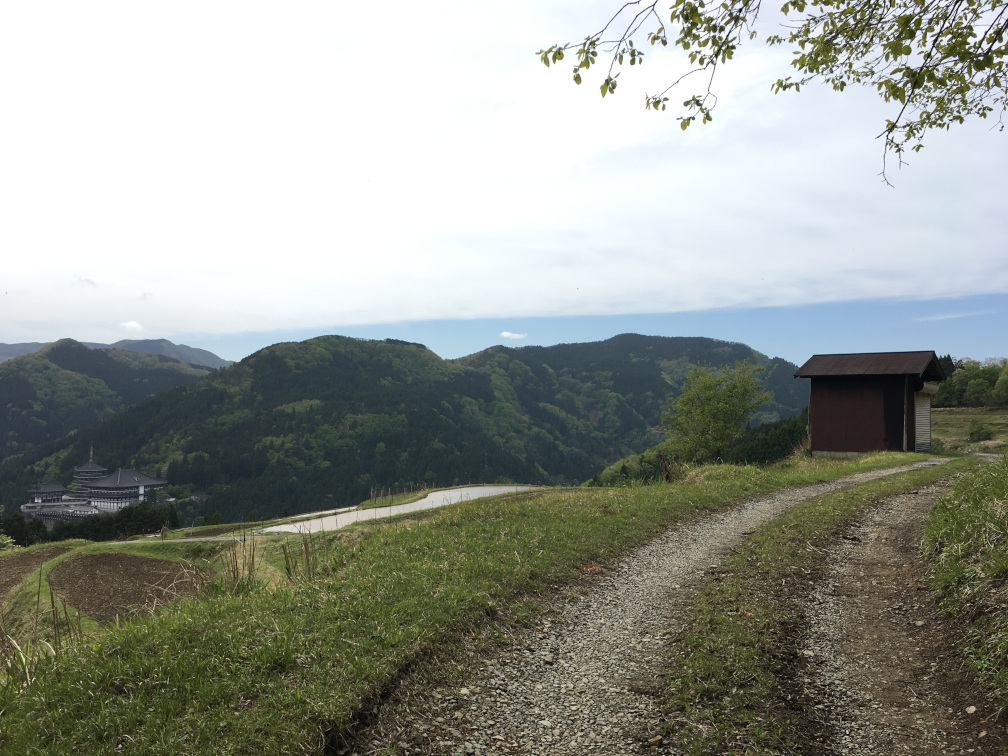 西ヶ岡の棚田の景色6