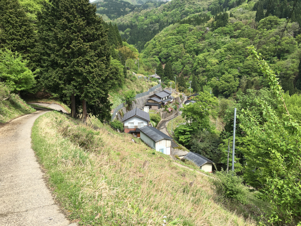 西ヶ岡の棚田の景色3