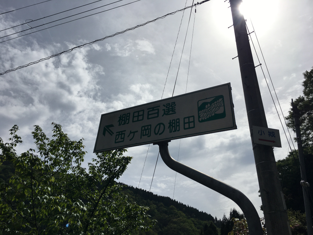 西ヶ岡の棚田の景色1