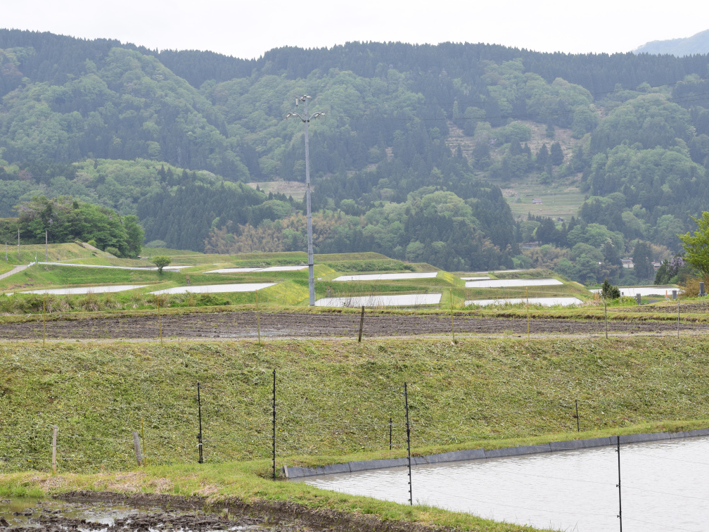 新温泉町丹土の棚田の景色1