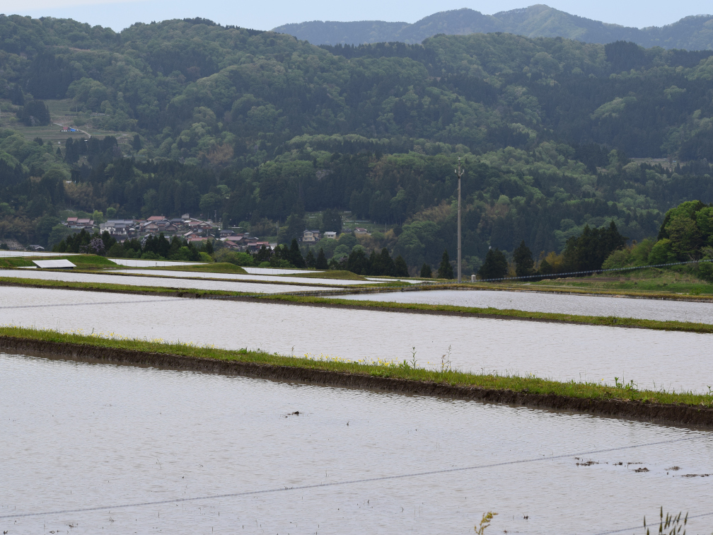 新温泉町丹土の棚田の景色2