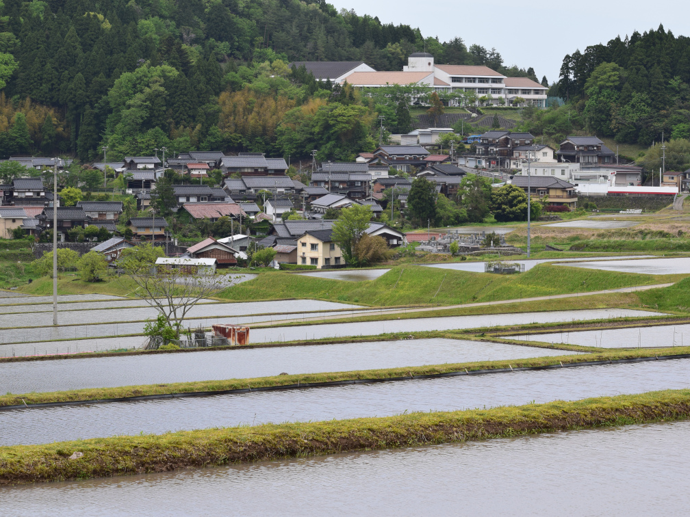 新温泉町丹土の棚田の景色5