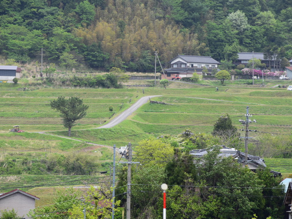 新温泉町丹土の棚田の景色7