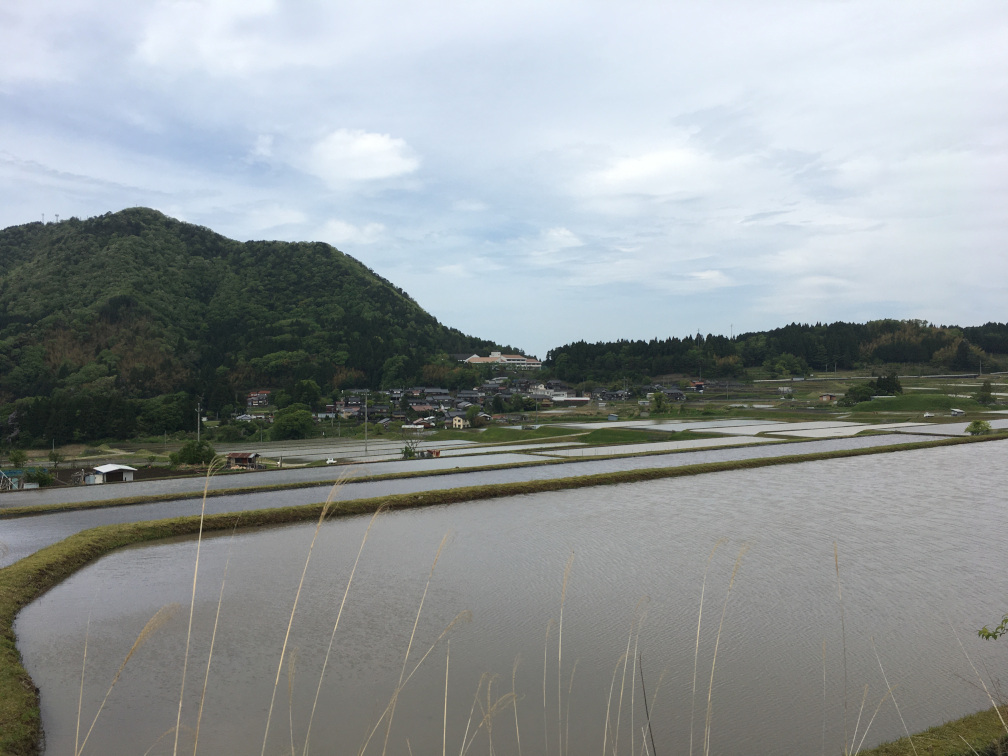 新温泉町丹土の棚田の景色4