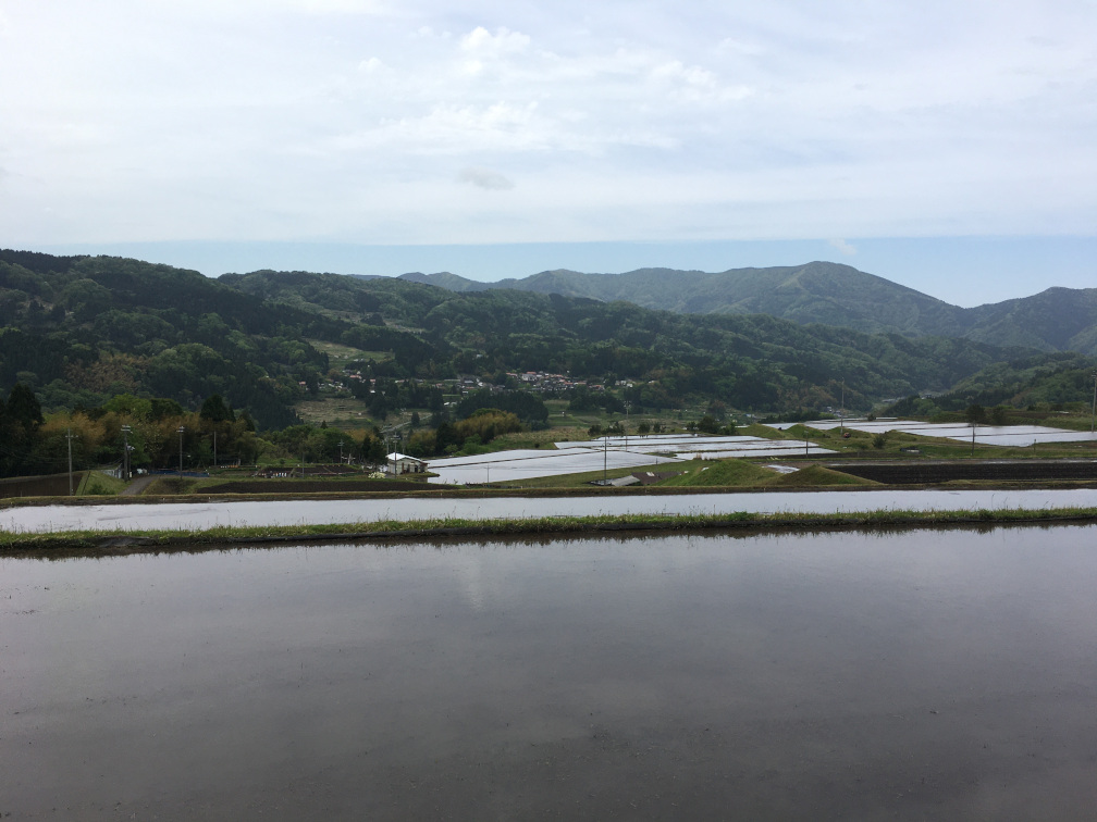 新温泉町丹土の棚田の景色8