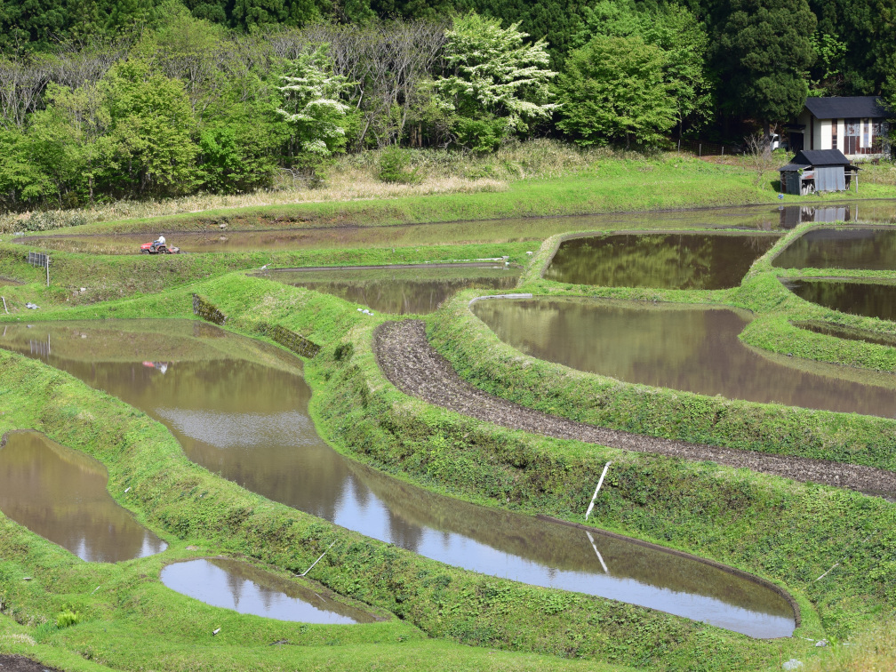 うへ山の棚田の景色2