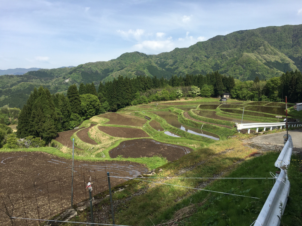 うへ山の棚田の景色3