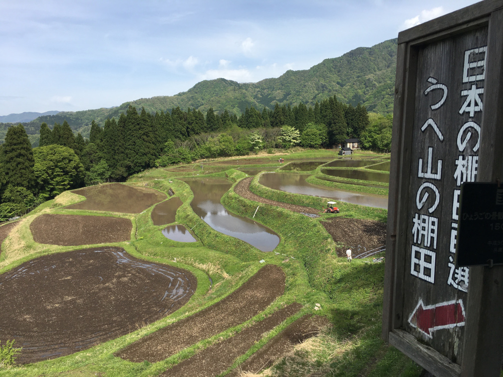 うへ山の棚田の景色1