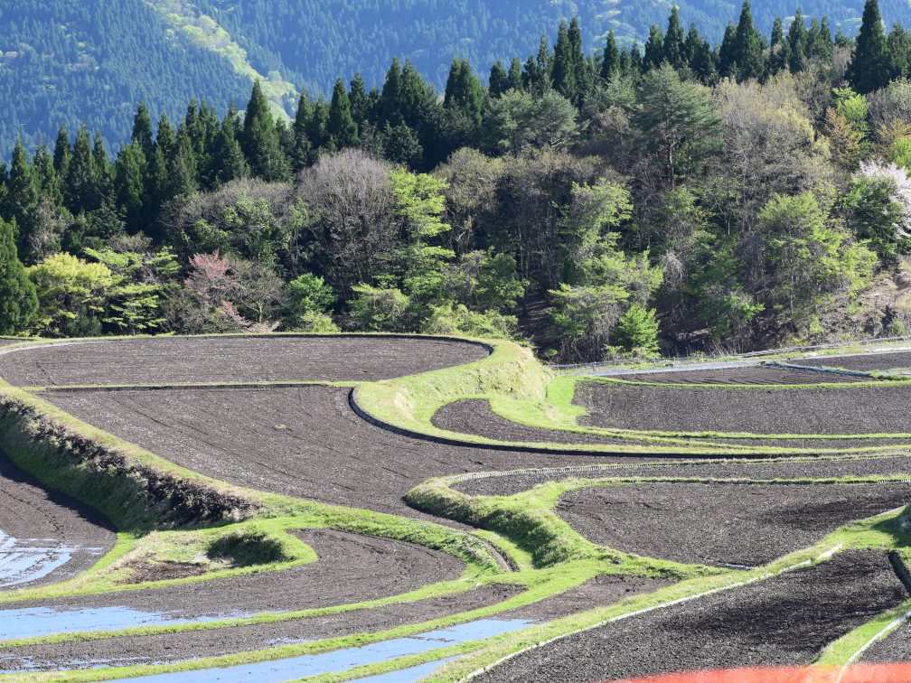 別宮の棚田の景色4