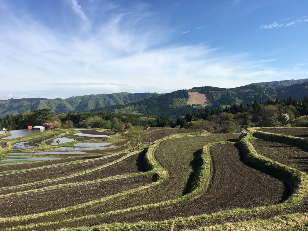 別宮の棚田の景色5