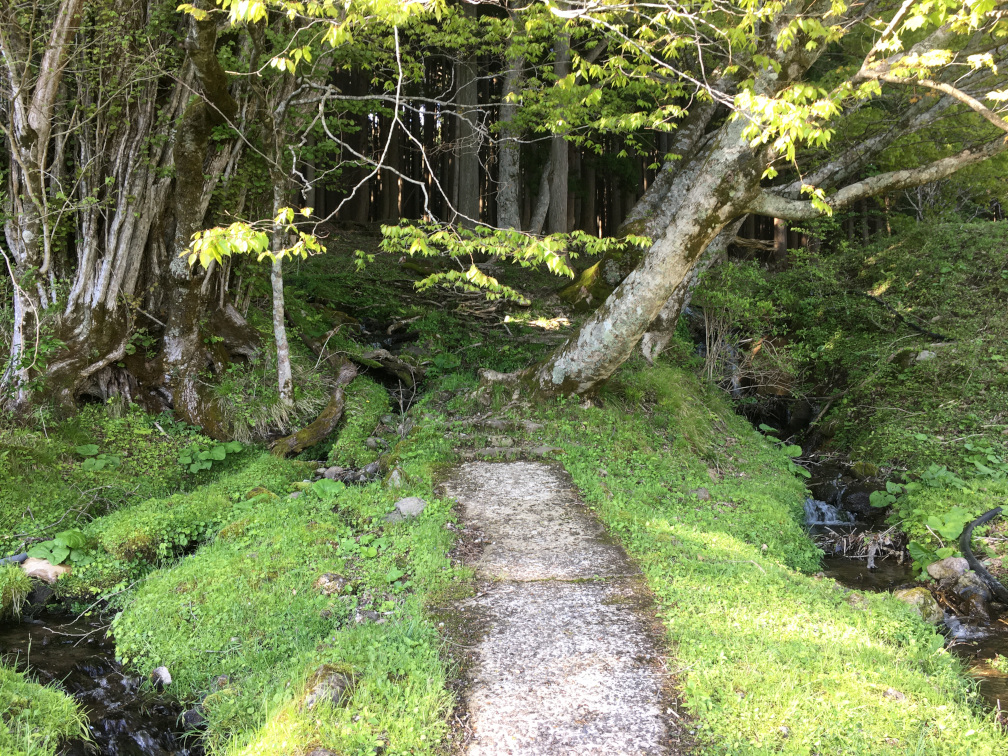 別宮の棚田の景色7