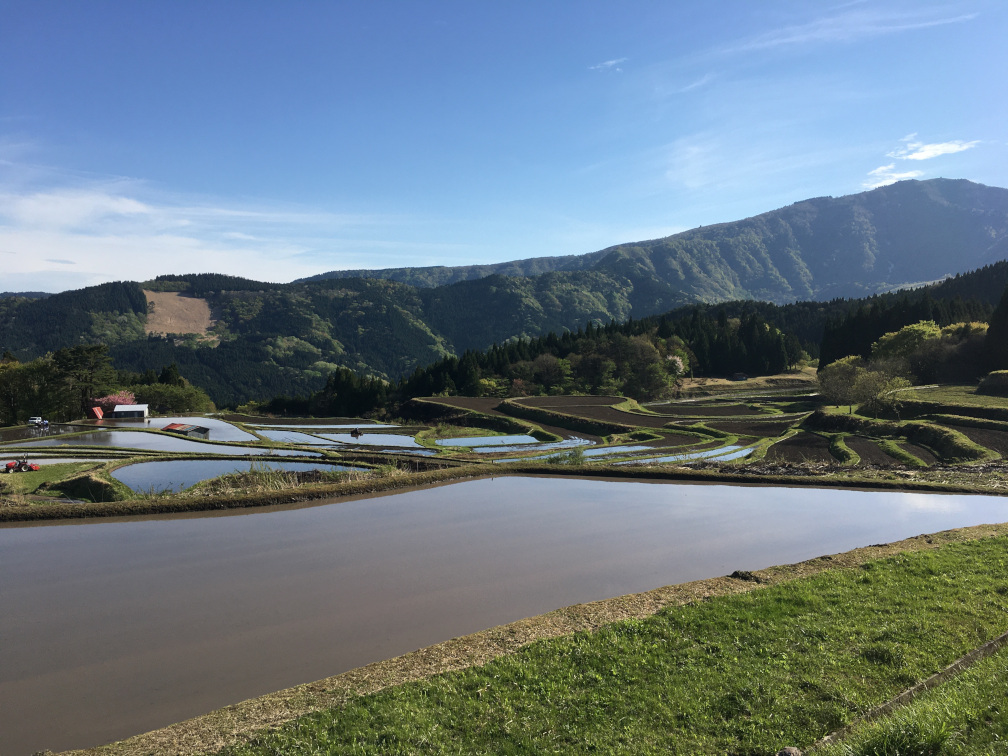 別宮の棚田の景色6