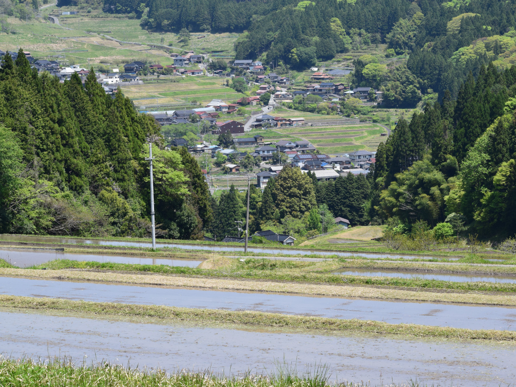 飯見の棚田の景色7