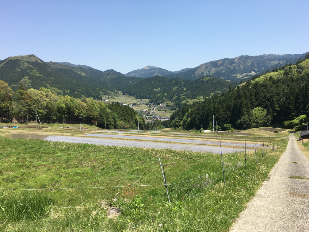 飯見の棚田の景色6