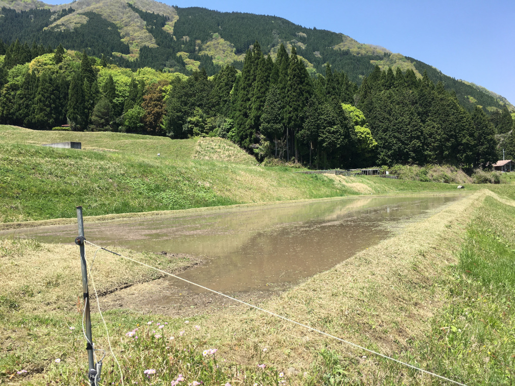 飯見の棚田の景色8