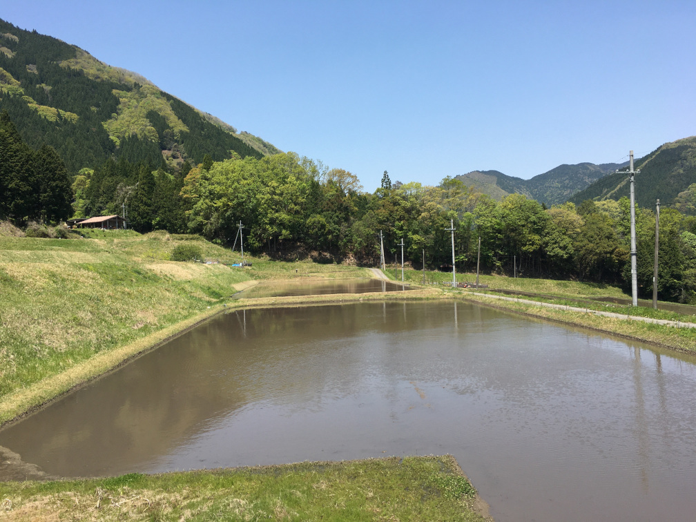 飯見の棚田の景色9