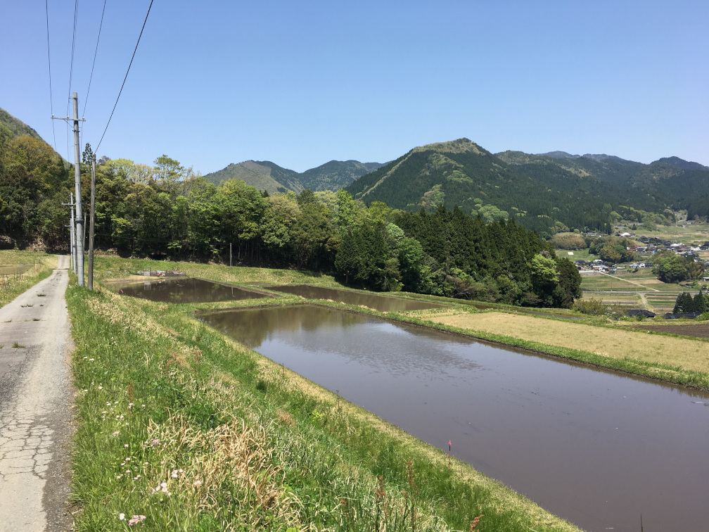 飯見の棚田の景色10