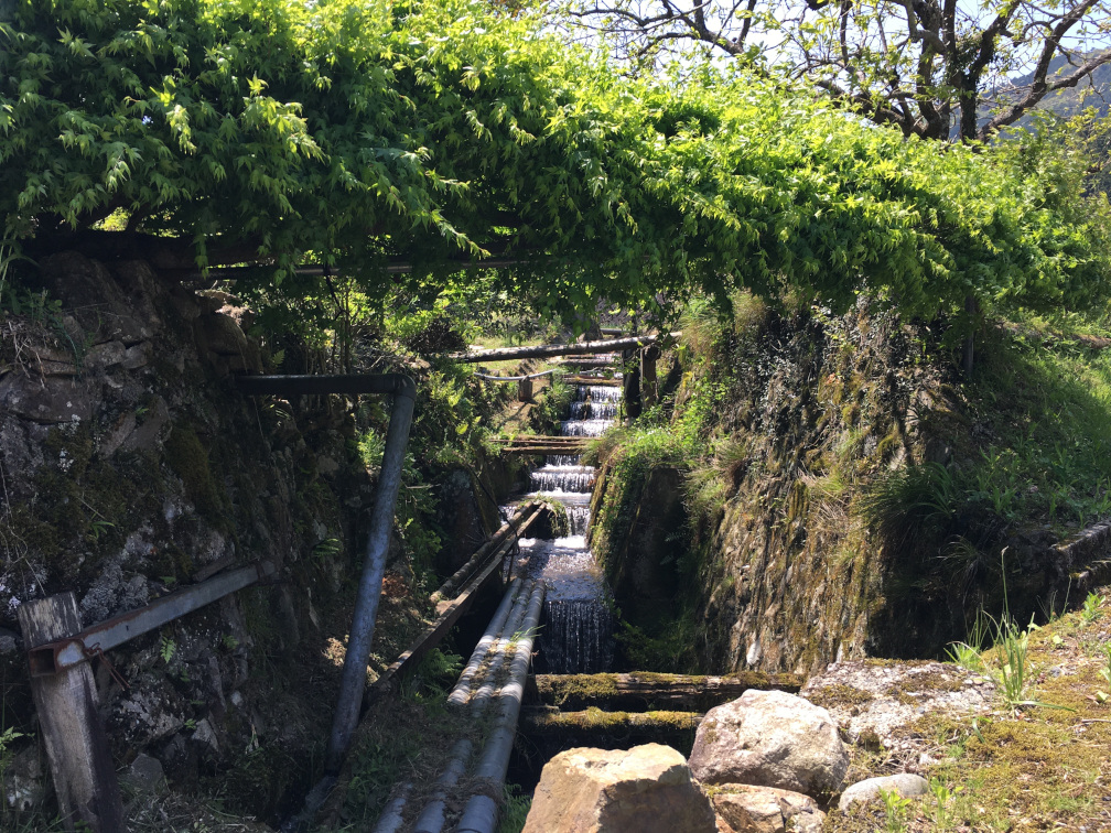 飯見の棚田の景色13