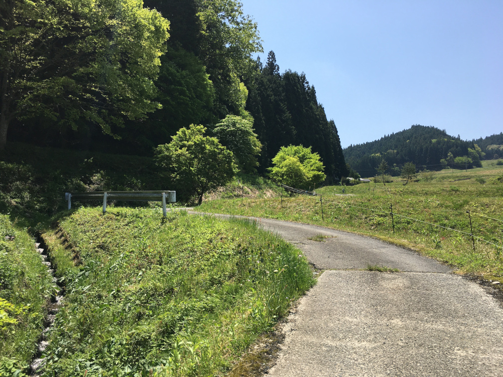 飯見の棚田の景色2