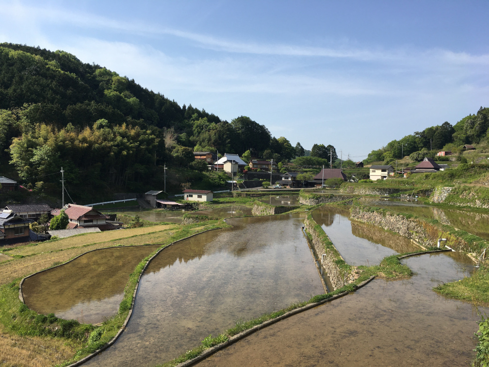 田和の棚田の景色5