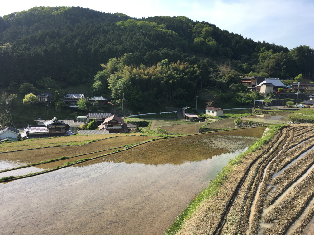 田和の棚田の景色6