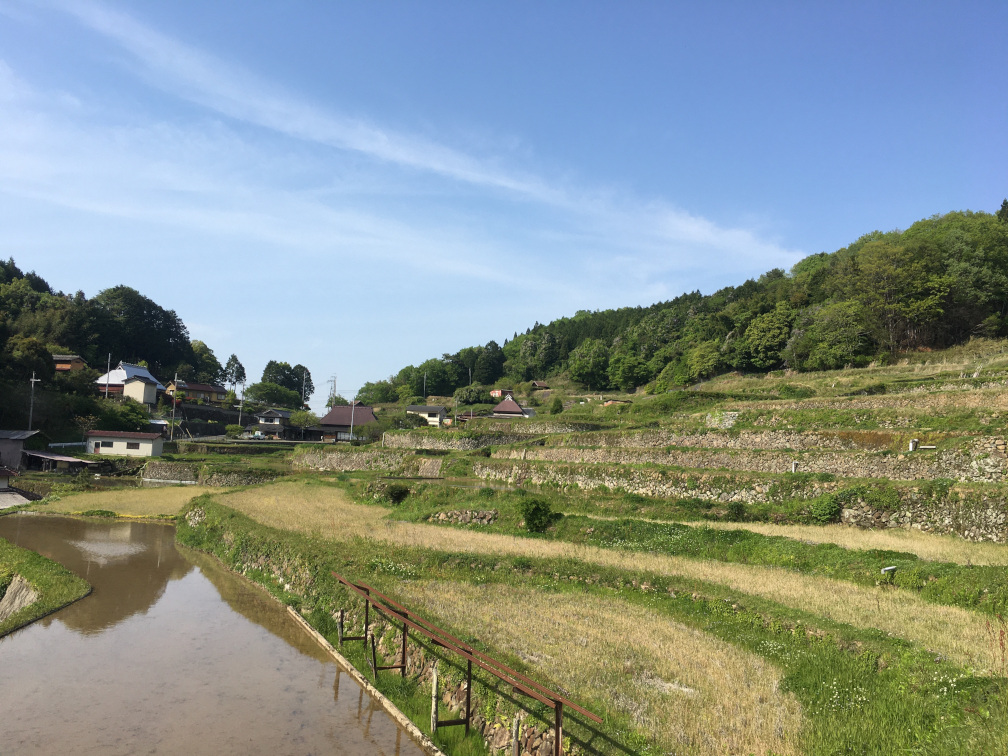 田和の棚田の景色3