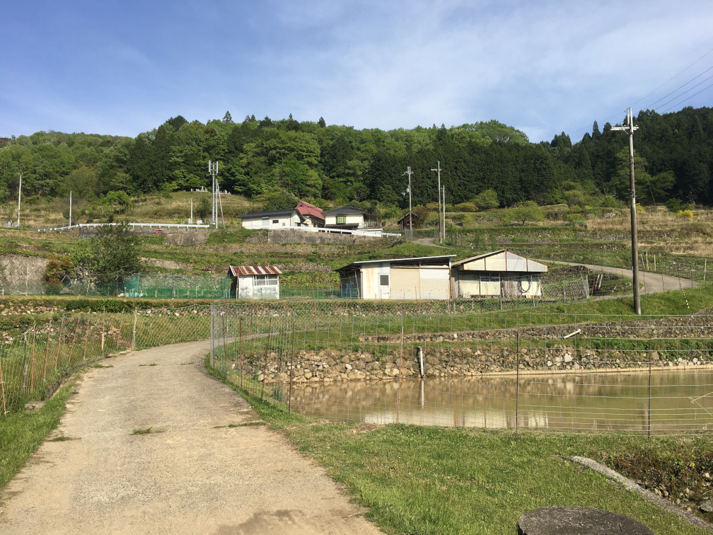 田和の棚田の景色1