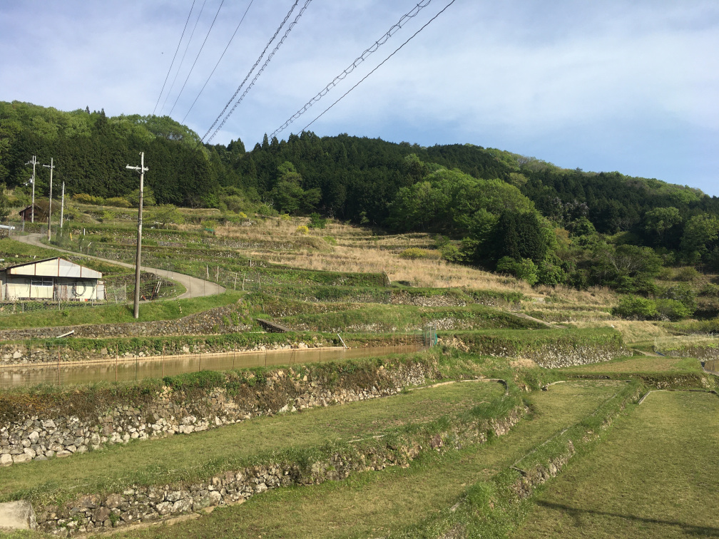 田和の棚田の景色2