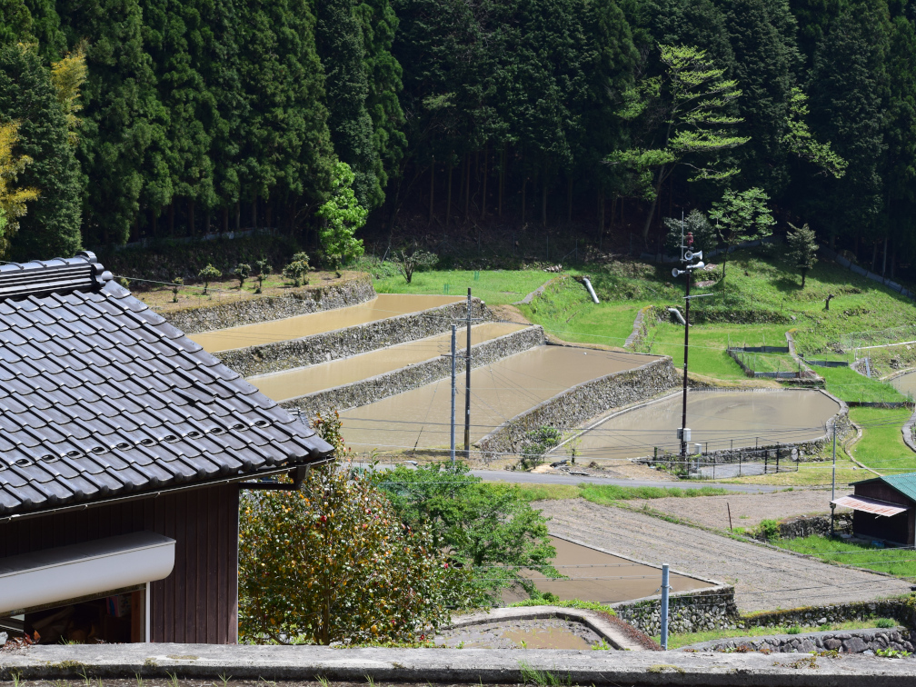 岩座神の棚田の景色11