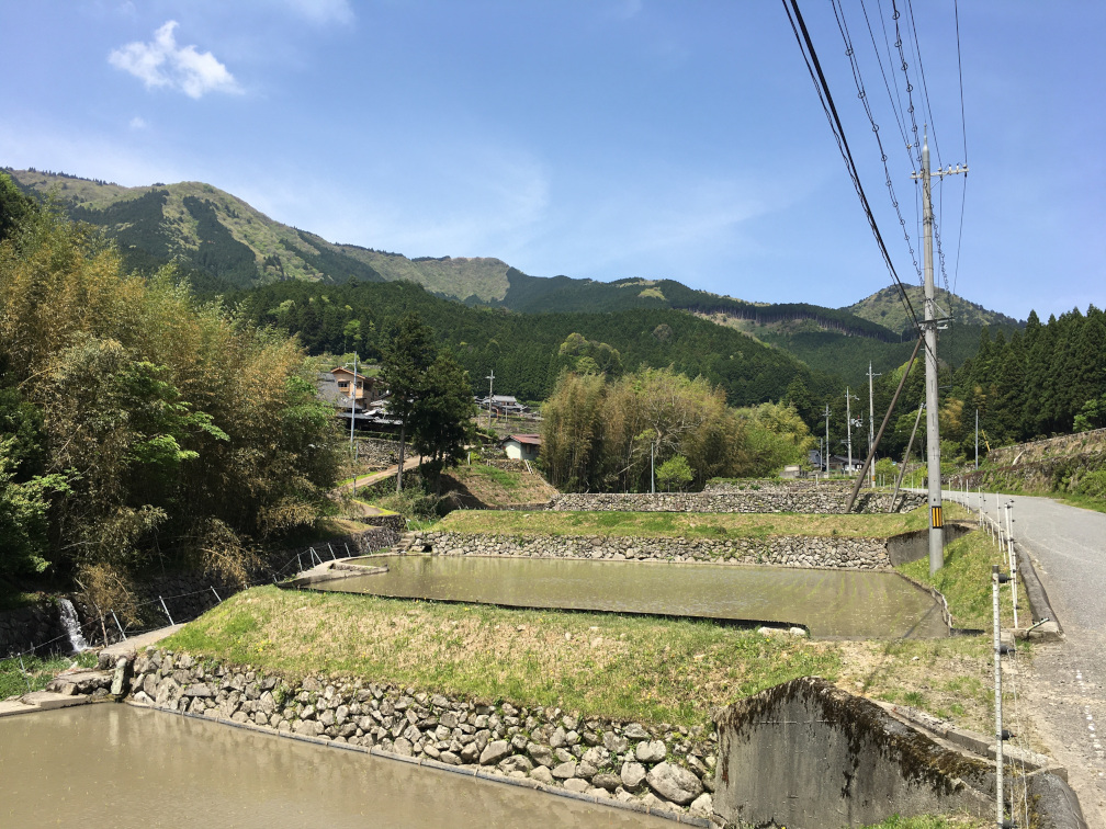 岩座神の棚田の景色2