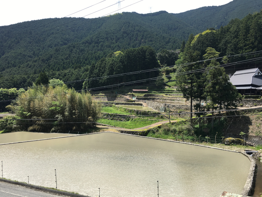 岩座神の棚田の景色3