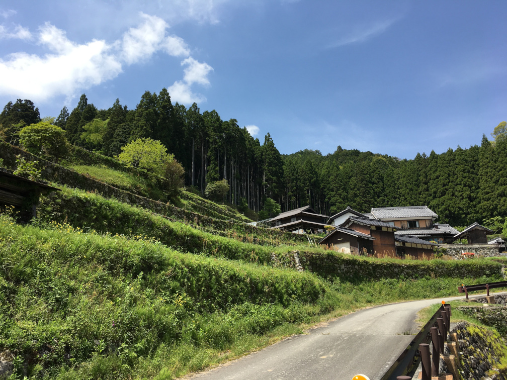 岩座神の棚田の景色6