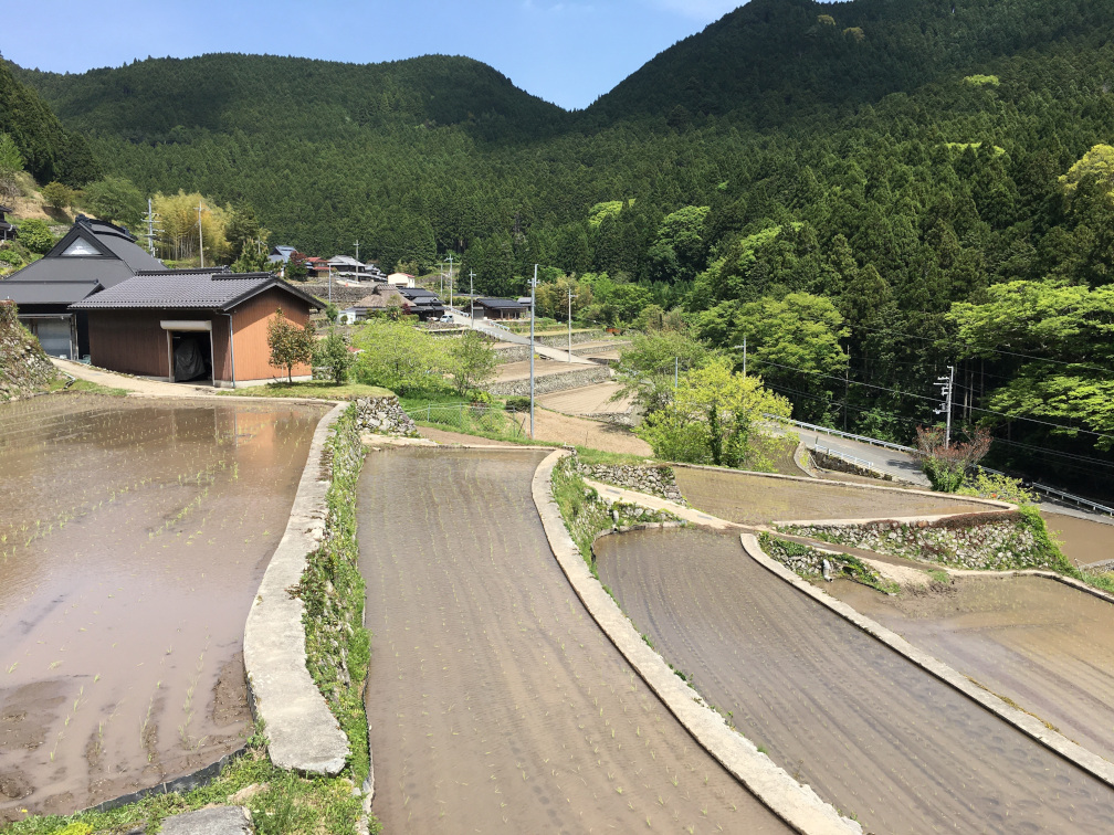 岩座神の棚田の景色9