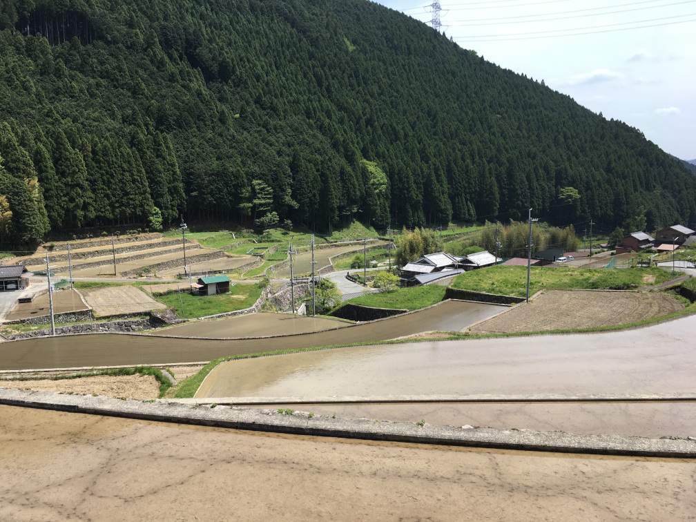 岩座神の棚田の景色10