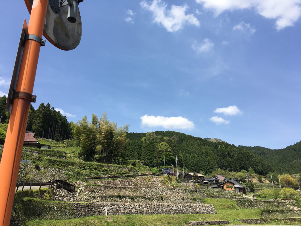 岩座神の棚田の景色7