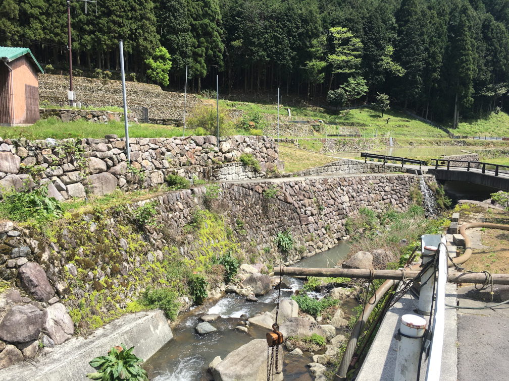 岩座神の棚田の景色12