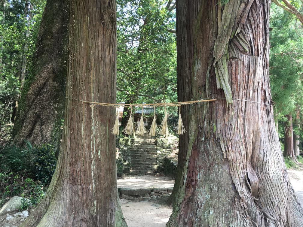 岩座神の棚田の景色15