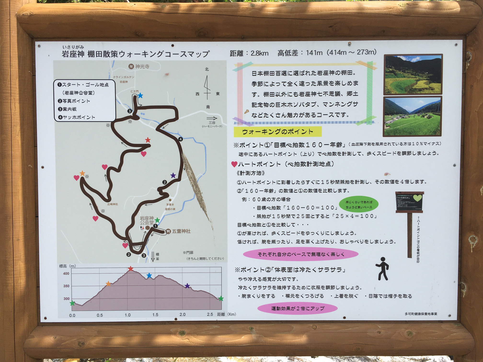 岩座神の棚田の景色14