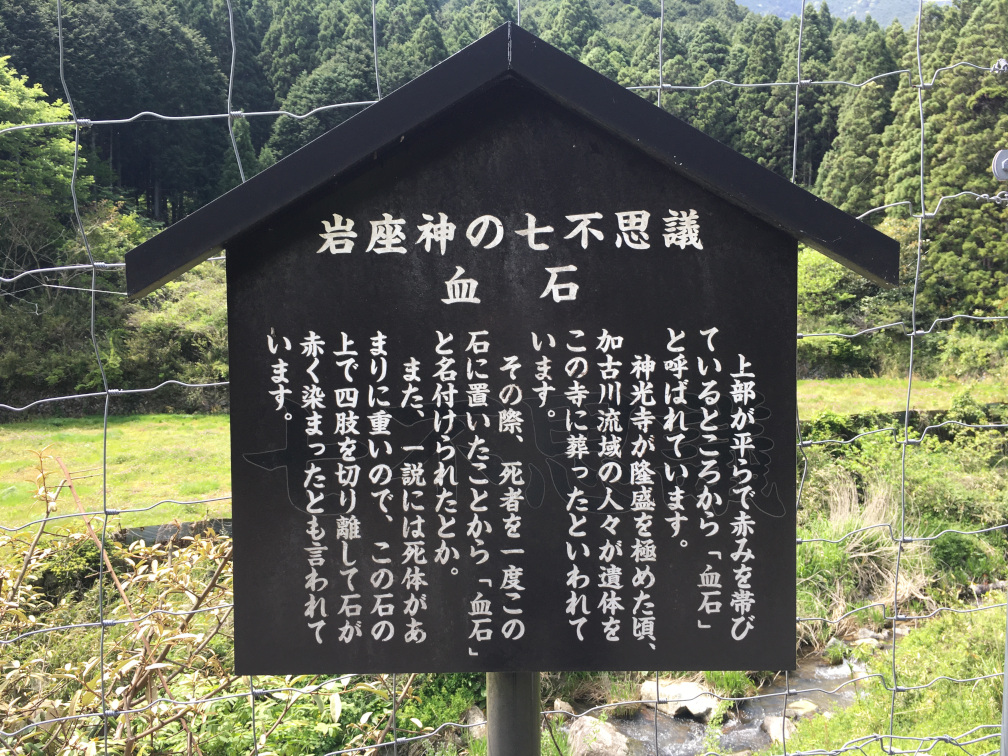 岩座神の棚田の景色20