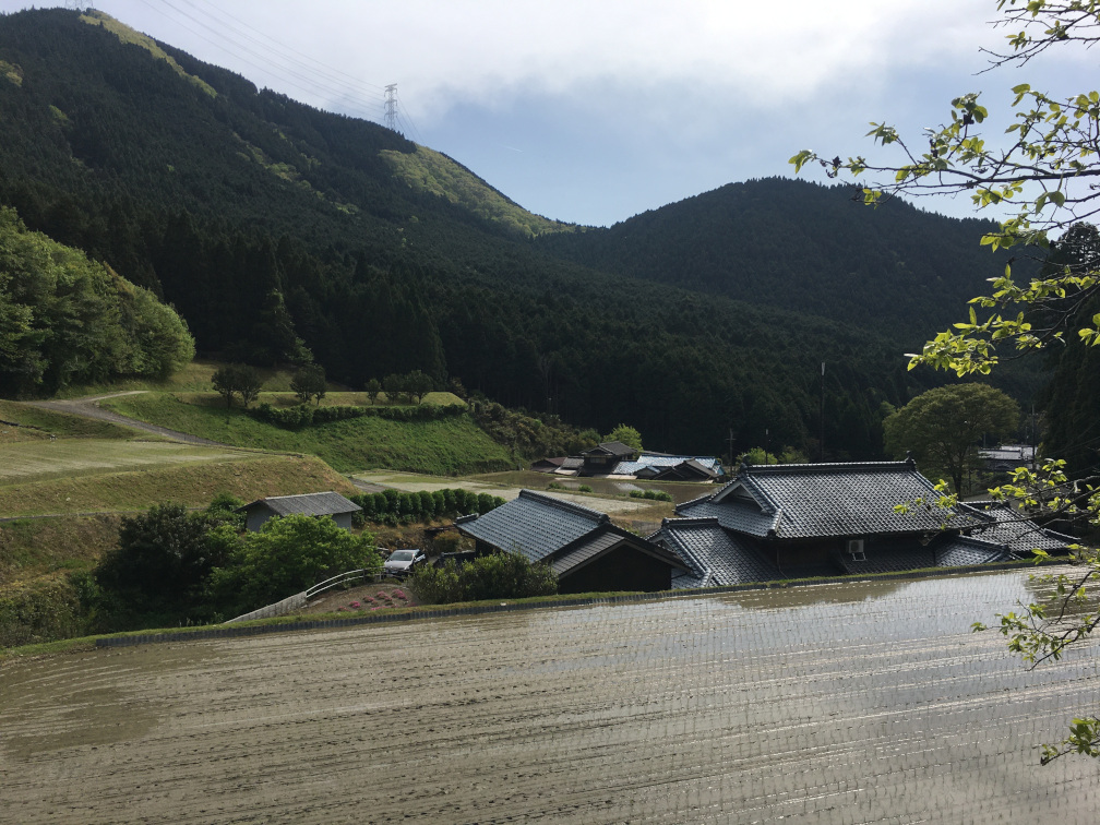 奥猪篠の棚田の景色6