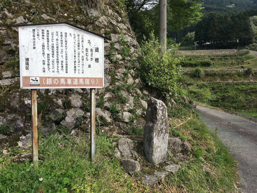 奥猪篠の棚田の景色11